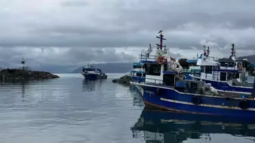 Karadeniz’in Hamsi Stoğu Azaldı: Balıkçılar Zorlu Günler Yaşıyor
