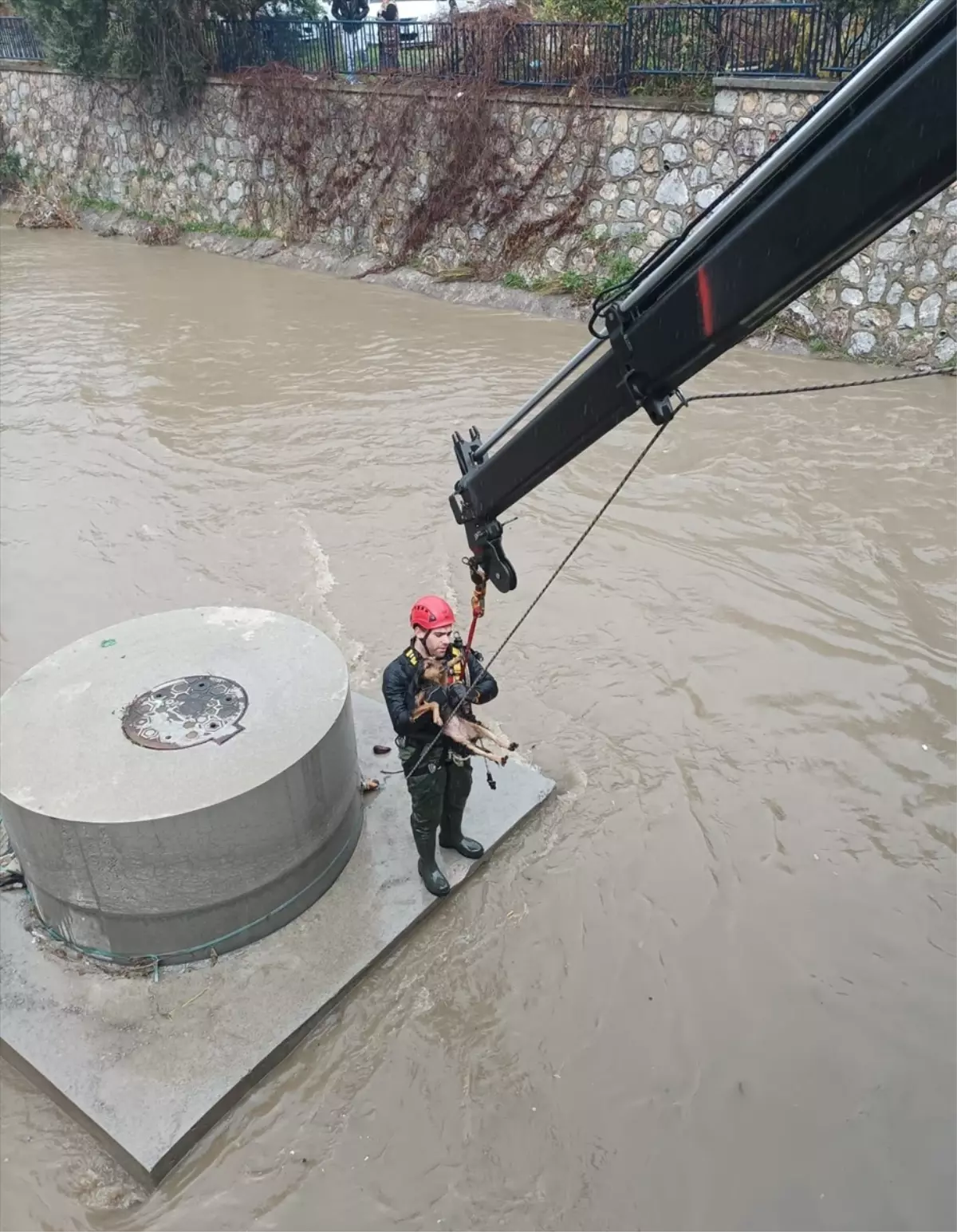İzmir'in Kahraman İtfaiyesi: 10 Dakikada Dere Yatağındaki Köpeği Kurtardı