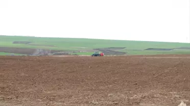 Edirne’de Hayvan Yetiştiricileri İçin Mera İslah Projesi 2026’da Tamamlanıyor