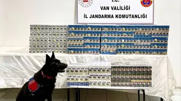 Erciş'te Gümrük Operasyonu: 8 Bin 200 Paket Kaçak Sigara Ele Geçirildi