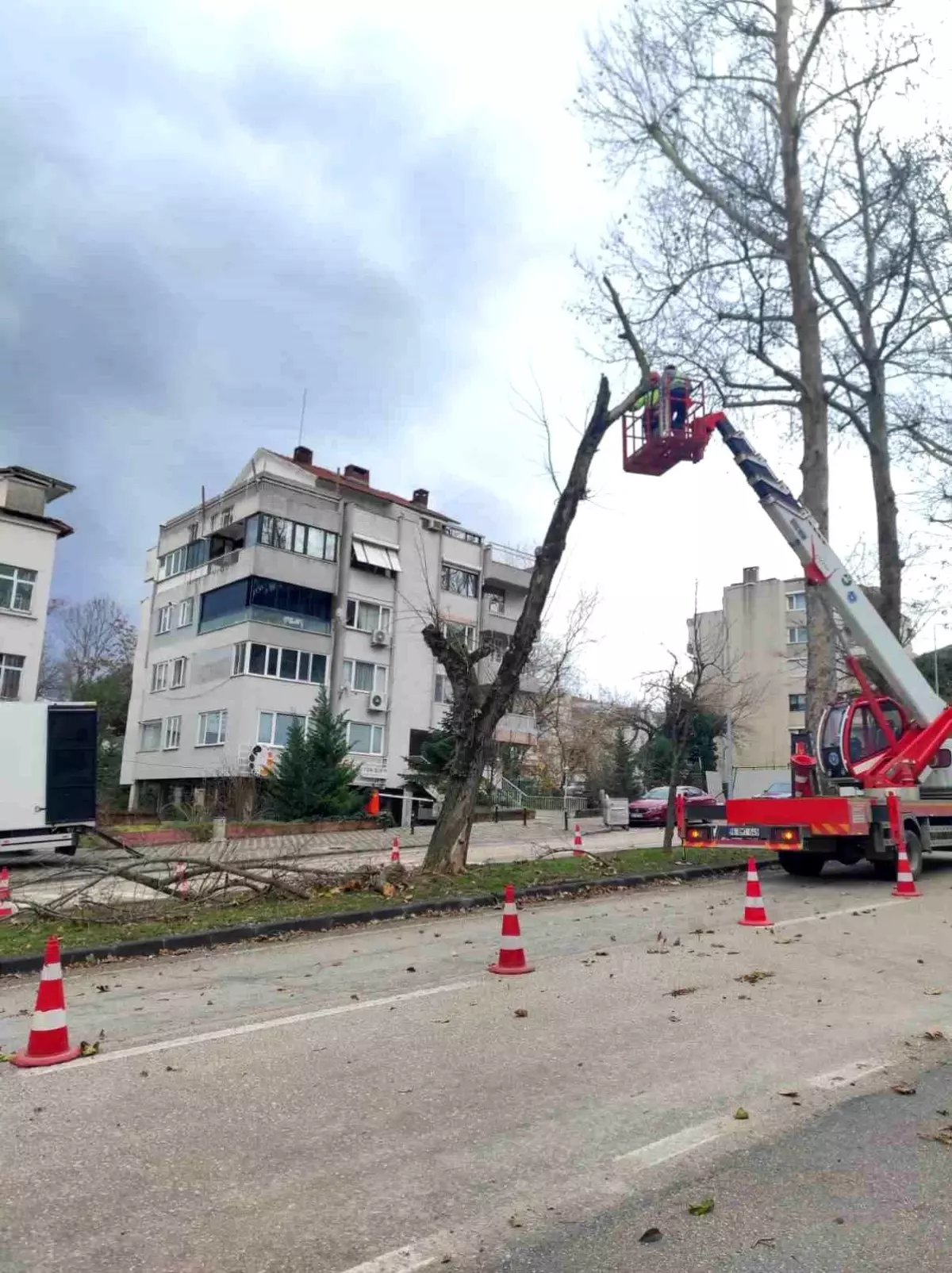 Bursa’da Şiddetli Lodosla Mücadele: Büyükşehir Ekiplerinin Hızlı Müdahalesi