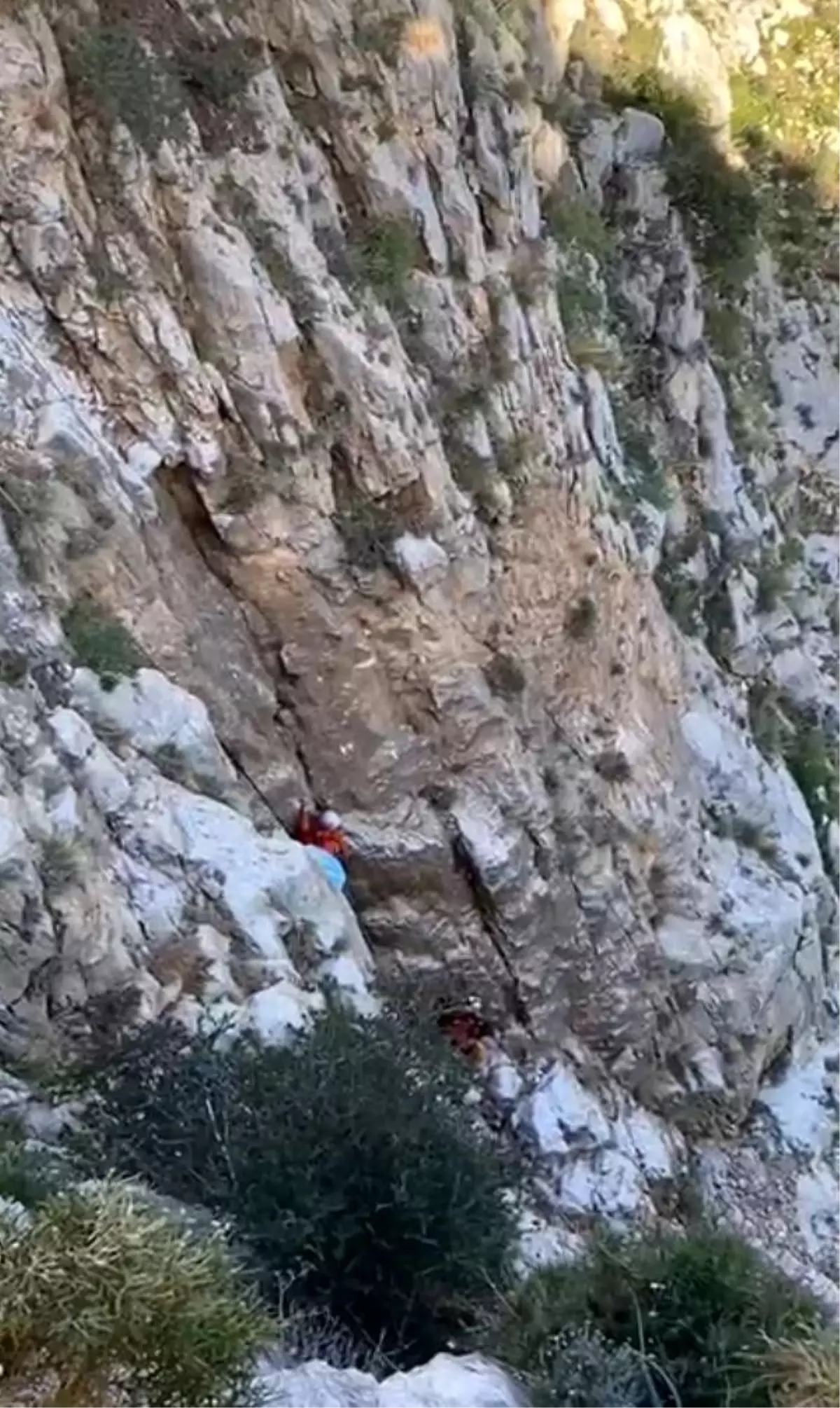 Fethiye Kayalıklarında Mahsur Kalan Keçi MAG Ekipleriyle Kurtarıldı