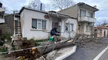 Gelibolu’da Lodos Fırtınası Evleri Sarsıp Ağacı Yere Döktü