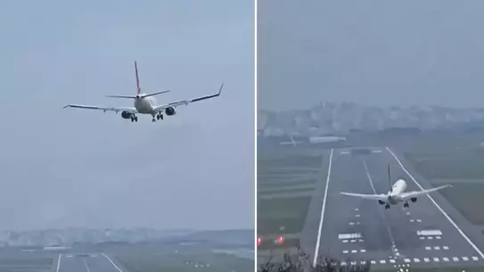 İstanbul’da Şiddetli Lodos: Ağaçlar Devrildi, Araçlar Hasar Gördü