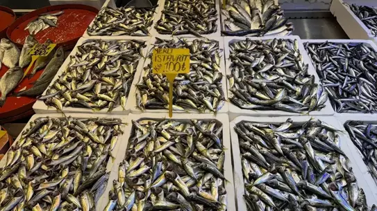Trabzon’da Hamsi 100 TL’ye Çıktı, İstavrit Talebi Patladı