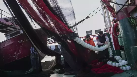 Karadeniz ve Ege’de Hamsi ve Sardalya Avı Şölenine Tanıklık Edildi