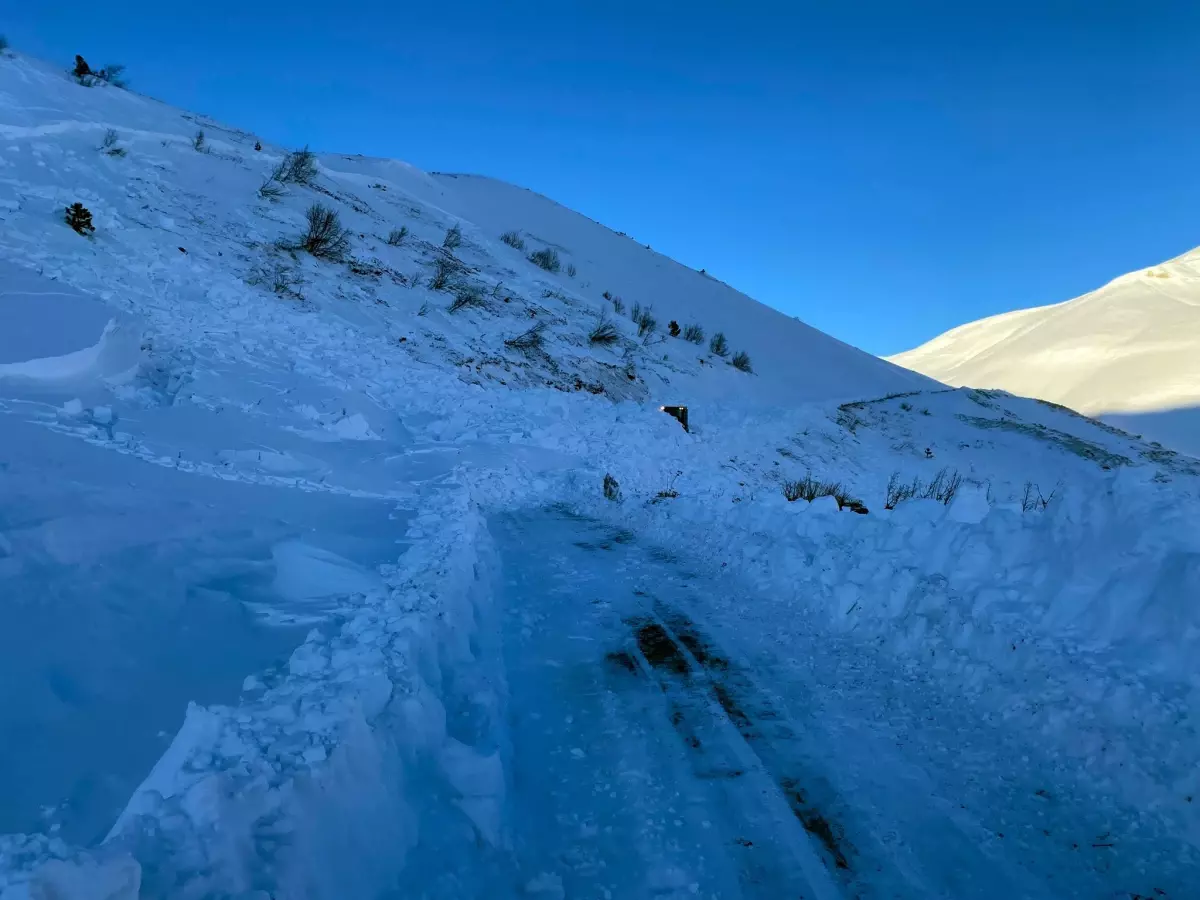 Ardanuç'ta Çığ Felaketi: İki Çobanın Hayatı Kaybedildi, Arama Çalışmaları Duraklatıldı
