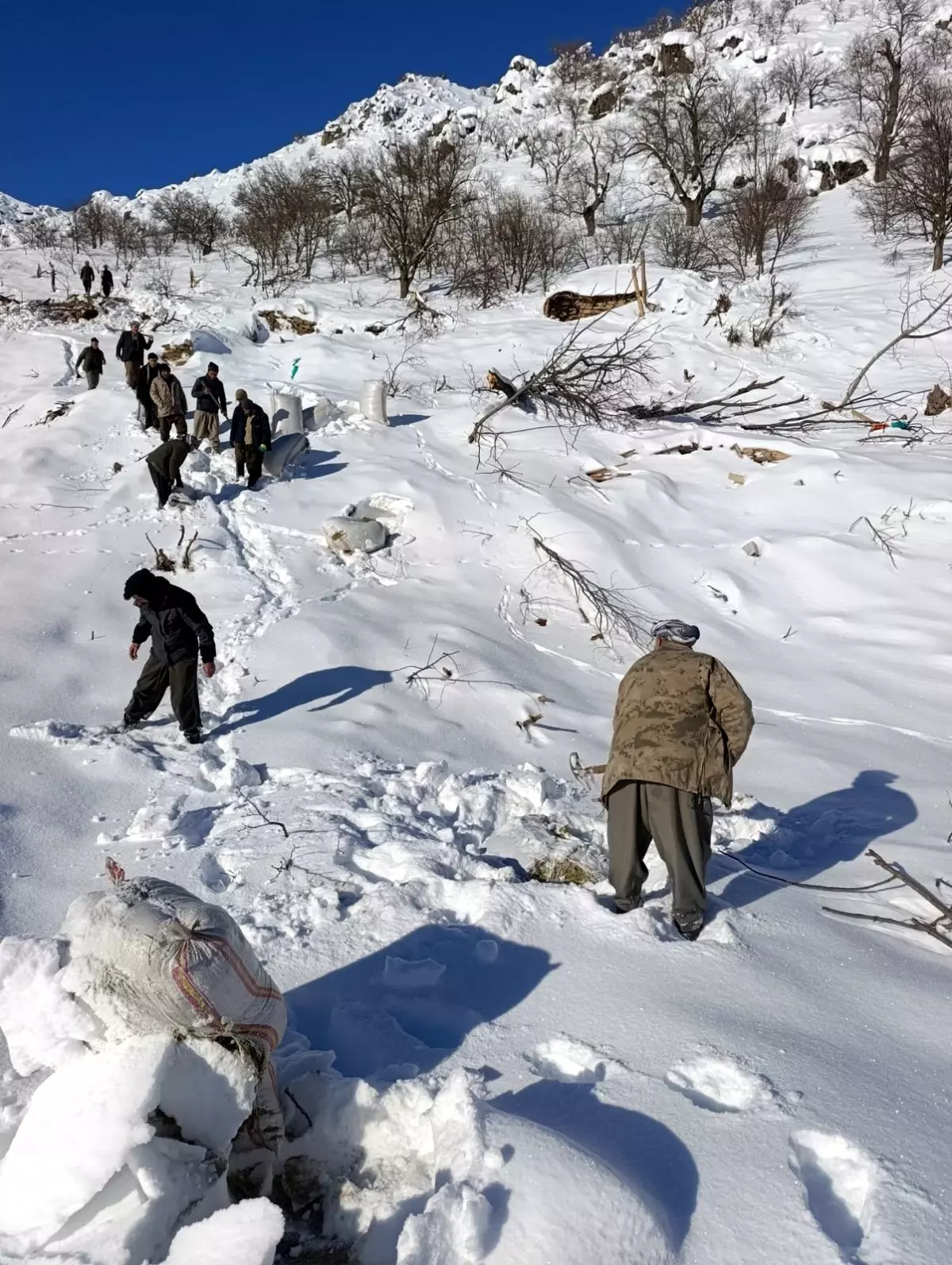 Hakkari İde Mezrası'nda Çığ Felaketi: 8 Ev ve 2 Ahır Hasar Gördü, 120 Küçükbaş Hayvan Öldü