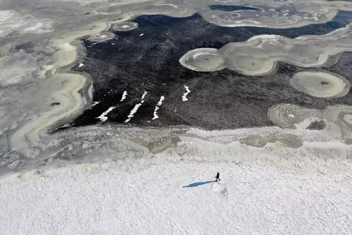 Iğdır’da -10°C Soğuğu Sulak Alanları Dondurdu: Kuşlar ve Doğa Tehlikede