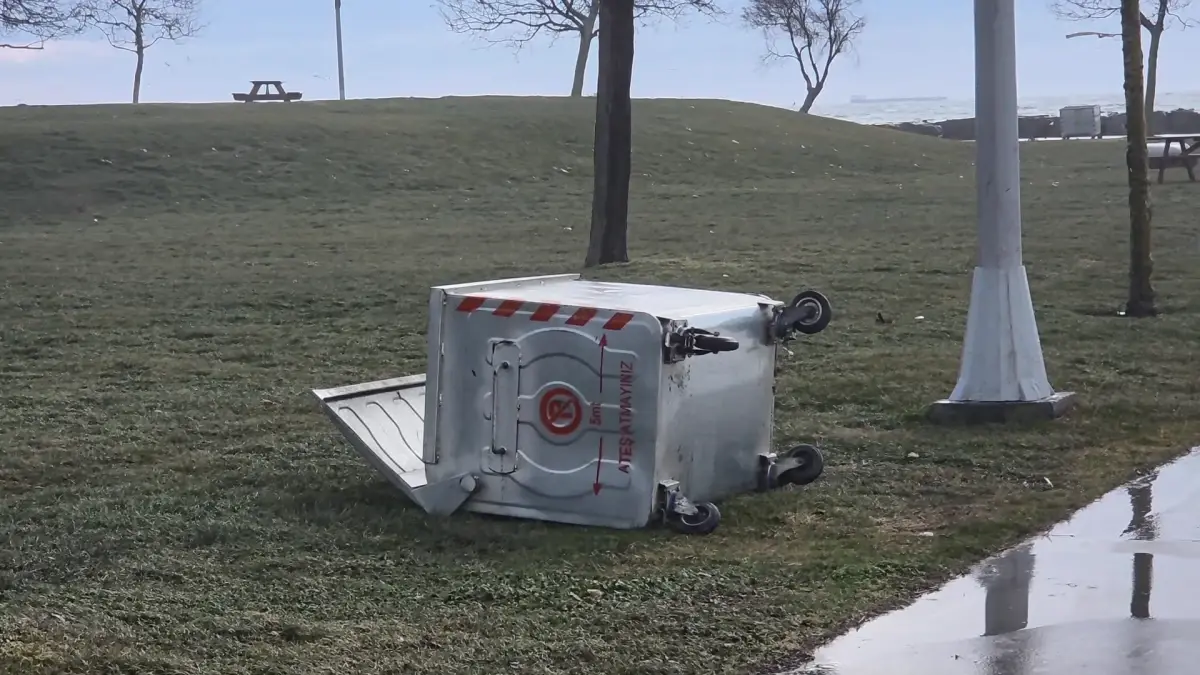 İstanbul’da Şiddetli Lodos Şehri Sarsıyor: Ağaçlar Yıkıldı, Dalgalar Kıyıya Çarptı