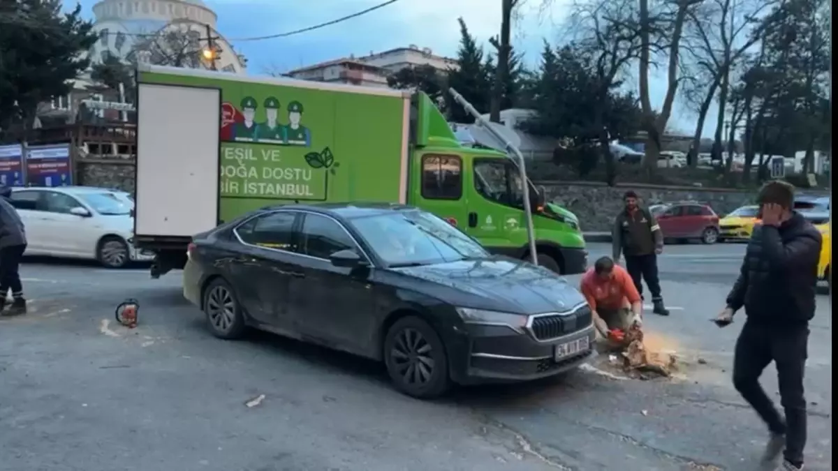 Sarıyer'de Şiddetli Lodos Çınar Ağacını Döndürdü, Park Halindeki Araç Hasar Aldı