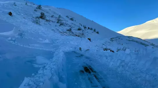 Ardanuç'ta Çığ Felaketi: İki Çobanın Hayatı Kaybedildi, Arama Çalışmaları Duraklatıldı