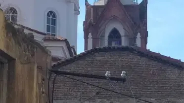 Ayvalık’ta Fırtına Saatli Camiyi Sarstı: Tarihi Saat Yerinden Düştü