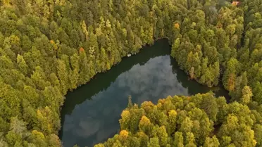 Bolu Tabiat Parkları 2025’te Rekor Ziyaretçi Sayısına Ulaştı