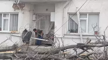 Gelibolu’da Şiddetli Rüzgar Çınar Ağacını Yere Serdi