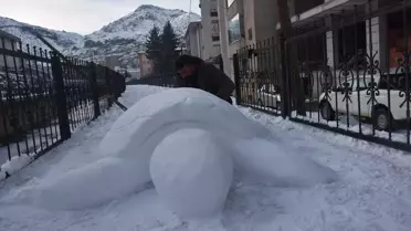 Kaplumbağanın detaylı fotoğrafı