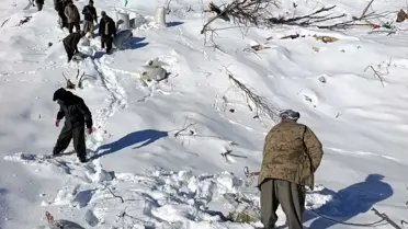 Hakkari İde Mezrası'nda Çığ Felaketi: 8 Ev ve 2 Ahır Hasar Gördü, 120 Küçükbaş Hayvan Öldü