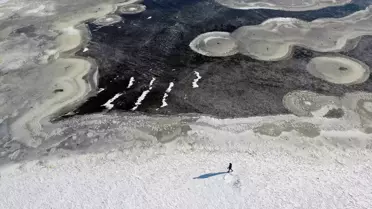 Iğdır’da -10°C Soğuğu Sulak Alanları Dondurdu: Kuşlar ve Doğa Tehlikede