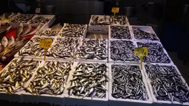 Kar Yağışı Trabzon Balıkçılarının Avını Düşürdü, Hamsi ve İstavrit Talebi Artıyor