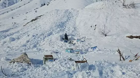 Şırnak Uludere’de Çığ Felaketi: Bir Kişi Hayatını Kaybetti