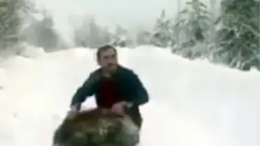 Sinop’ta Unutulmaz Anlar: Yaban Domuzu Kucağa Alındı