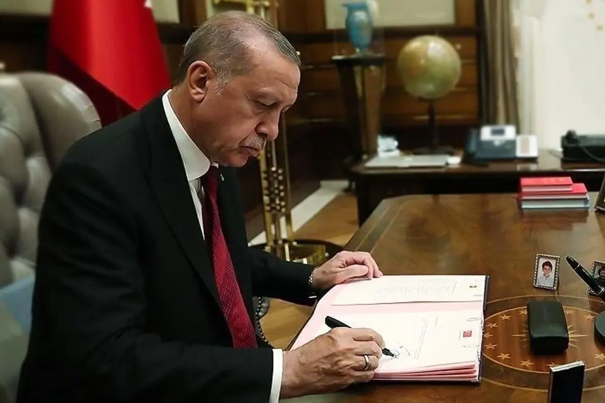 Beşinci Ulusal Eylem Planı kapak fotoğrafı