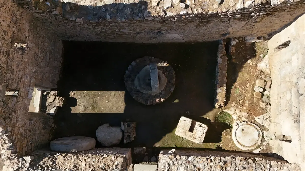 Syedra Antik Kenti'nde zeytinyağı üretim alanı