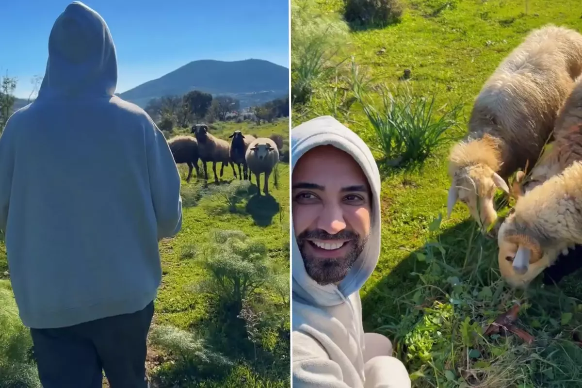 Tan Taşçı, Bodrum’da Koyunlarla Vegan Kahvaltı Keyfi Yaptı