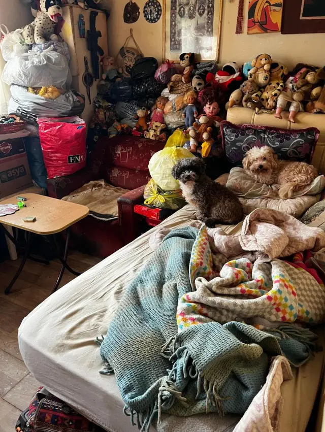 Kurtarılan köpekler