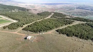 Eskişehir'de Şok Edici Cinayet: Zanlı Boğma ve İki Gün Süren Yakma İşlemini Mahkemede Açıklıyor