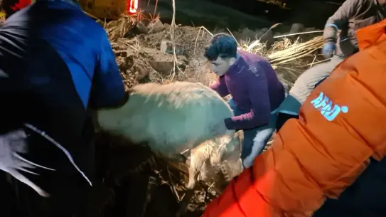 Çöken kerpiç ahırdan görüntü