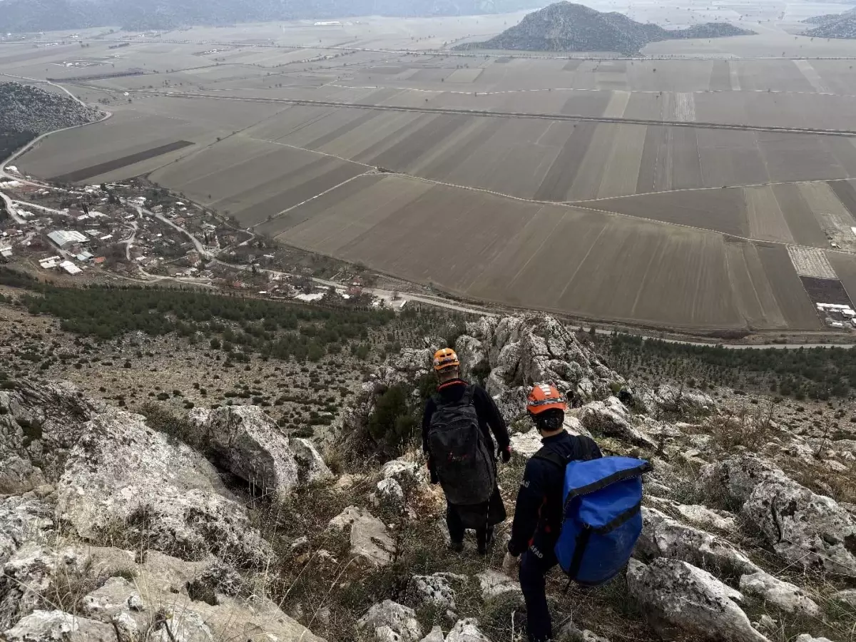 Dağlık Araziye Mahsur Kalan Gebe Keçi AFAD'ın Hızlı Müdahalesiyle Kurtarıldı