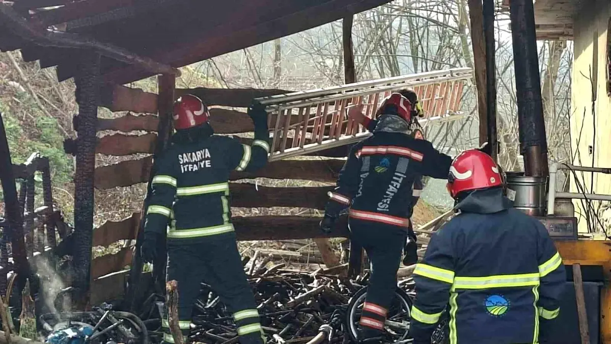 Akyazı Odunlukta Çıkan Yangın İtfaiye Ekiplerinin Hızlı Müdahalesiyle Söndürüldü