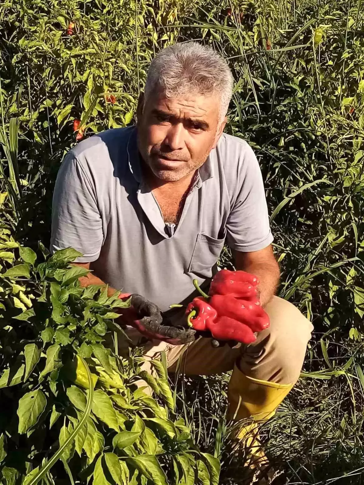 Şanlıurfa’da Asansör Kazası: 52 Yaşındaki Servis Şoförü Hayatını Kaybetti