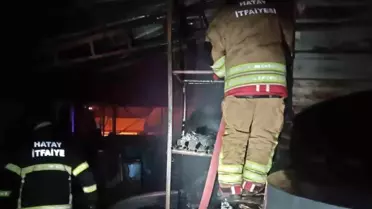 Samandağ odunluk yangını sonrası görsel