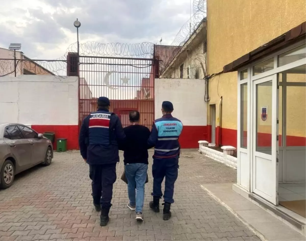 Aydın Germencik'te 16 Yıllık Hapis Cezalı Kasten Öldürme Şüphelisi Jandarmaya Teslim Edildi