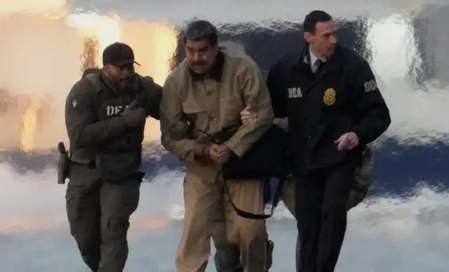 Hücrenin iç kısmı, tek bir ışık kaynağı