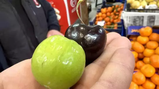 Düzce’de Kış Aylarında Yaz Meyvesi Çılgınlığı: Hamileler İçin Singapur’dan Gelen Ürünler Yüksek Fiyatlarla Satılıyor