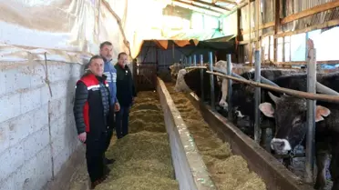 Erzincan’da aile hayvancılık