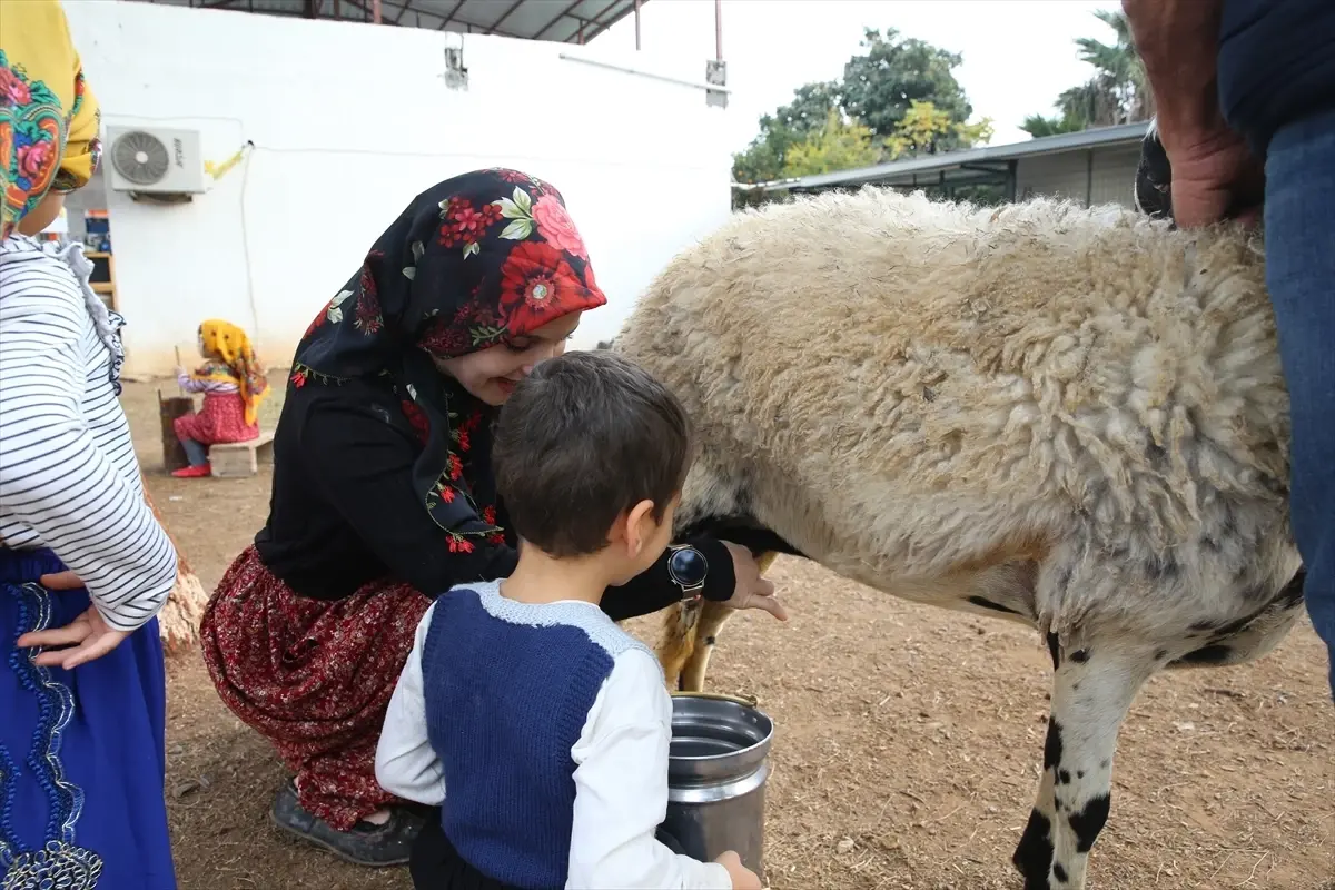 Hatay’da Doğa ile Büyüyen Çocuklar: Anaokulu Öğrencileri için Yeşil Eğitim Projesi