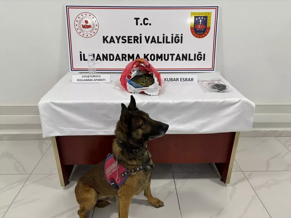 Kayseri Jandarmasından Büyük Uyuşturucu Operasyonu