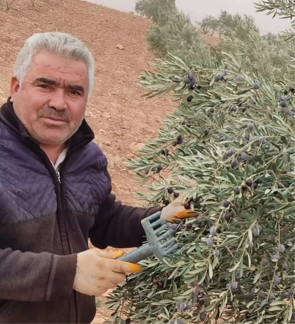 Şanlıurfa’da Asansör Kazası: 4. Kattan Düşen İşçi Hayatını Kaybetti