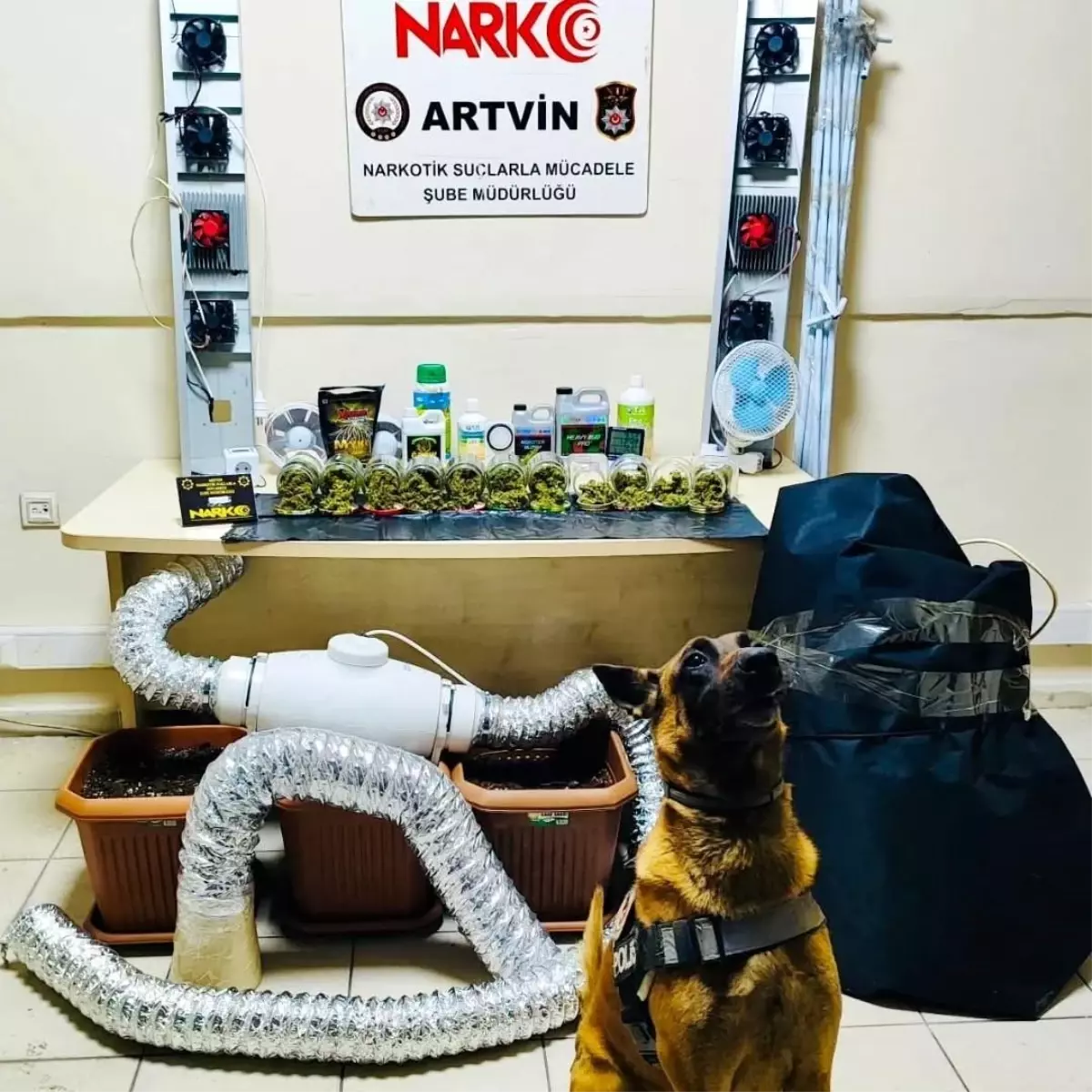 Arhavi'de Narkotik Operasyonu: Ele Geçirilen Madde ve Serbest Bırakılan Şüpheliler