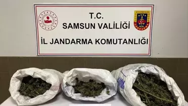 Samsun’da 6,2 Kg Esrar Ele Geçirildi: Polis Gözaltı Yaptı