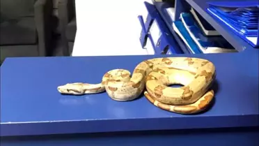 Olay anındaki fotoğraf