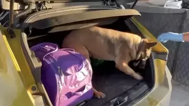 Pera’nın narkotik tespit anı