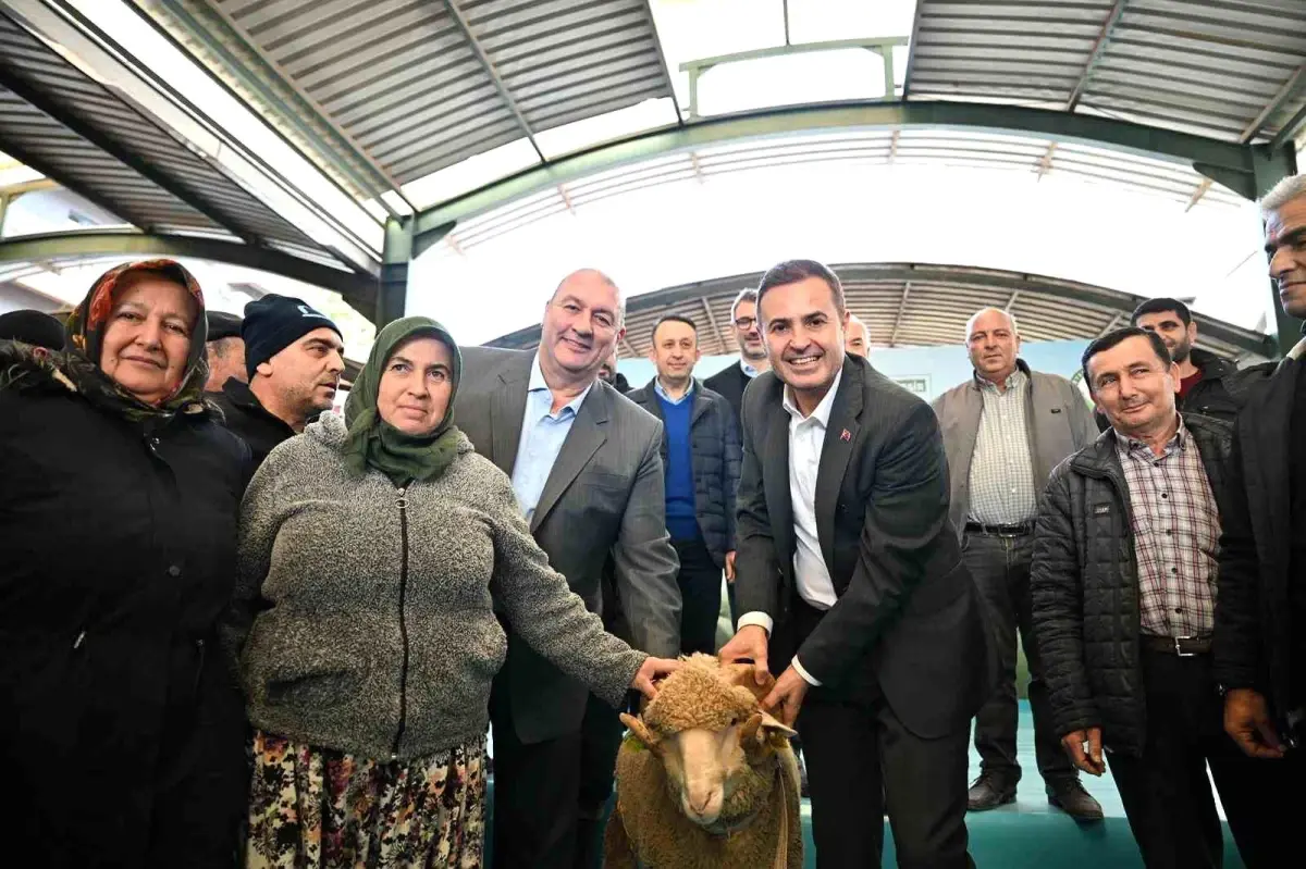 Bigadiç’te Damızlık Koç Dağıtımı: Belediye Başkanı Akın’dan Üreticilere Moral Desteği