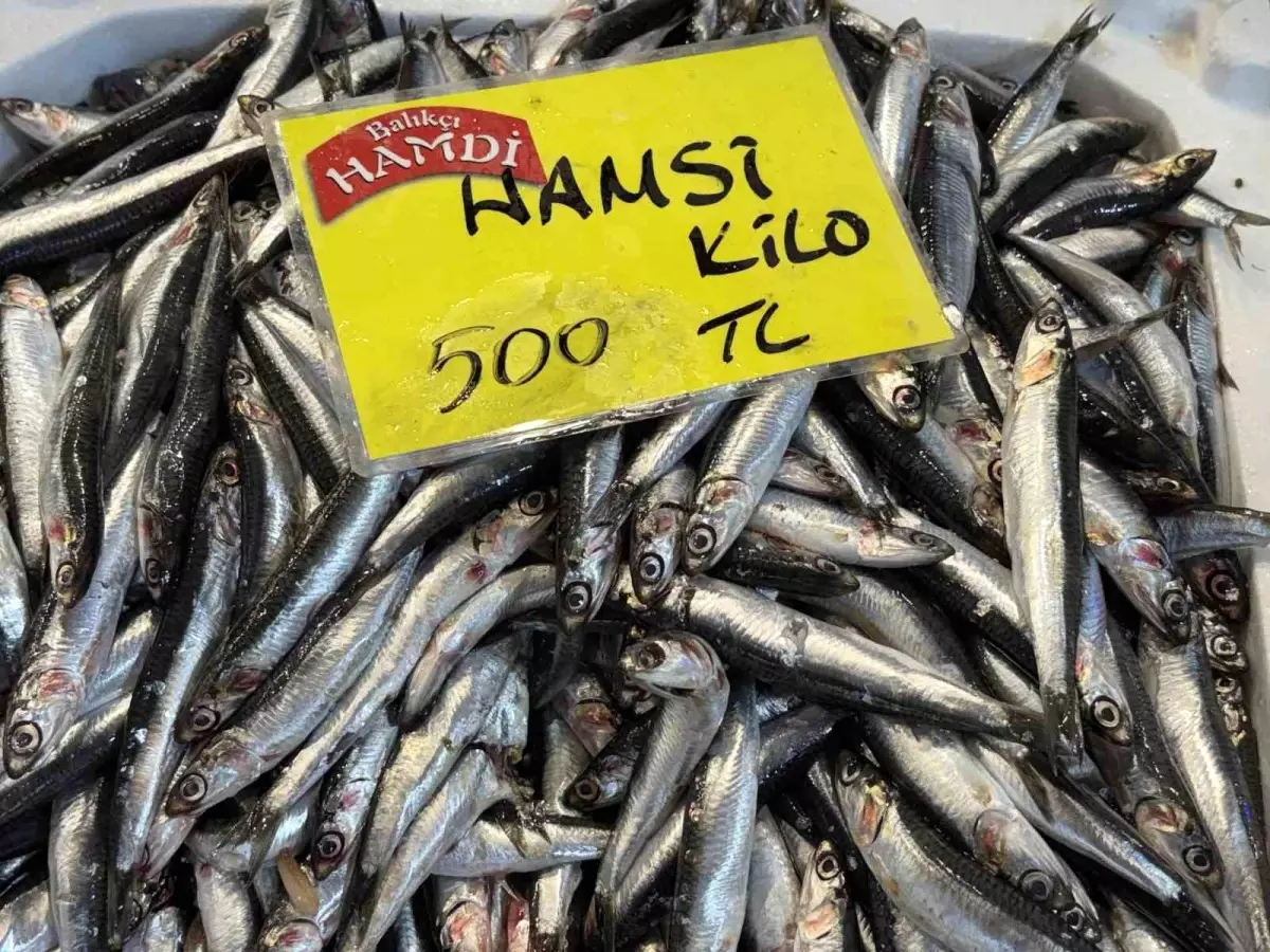 Kocaeli’de Balık Stokları Düşüşte: Tekrar Eden Kıtlık İşaretleri