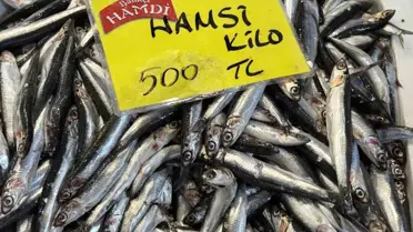 Kocaeli’de Balık Stokları Düşüşte: Tekrar Eden Kıtlık İşaretleri