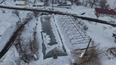 Kar altında yıkılmış seralar ve hasarlı sebze üretimi